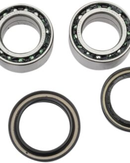 Rear Wheel Bearing Kit