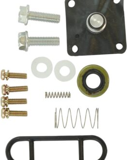 Petcock Repair Kit