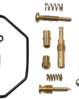 Carburetor Repair Kit