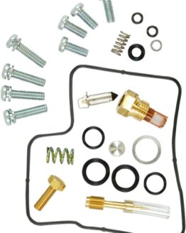 Carburetor Repair Kit