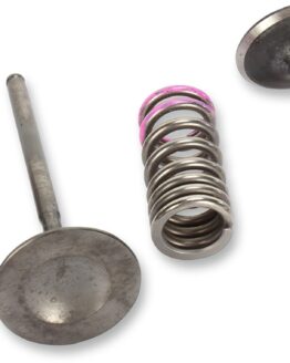 Steel Intake Valve & Spring Kit