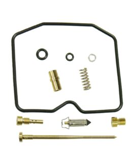 Bronco ATV Carburetor Kit AU-07471