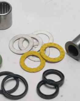 Swing Arm Bearing Kit