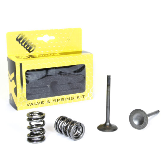 Steel Exhaust Valve/Spring Kit