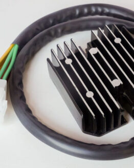 Lithium Battery Regulator/Rectifier