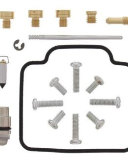 Carburetor Repair Kit