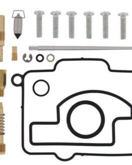Carburetor Rebuild Kit