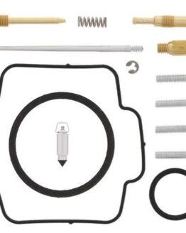 Carburetor Rebuild Kit