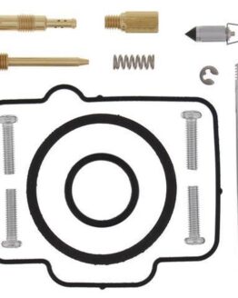 Carburetor Rebuild Kit