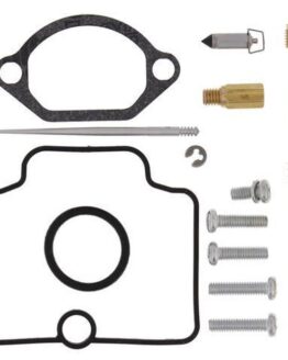 Carburetor Rebuild Kit