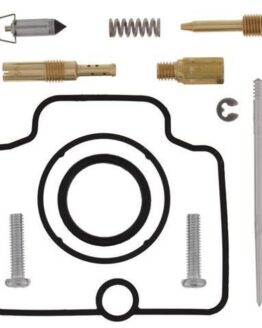 Carburetor Rebuild Kit