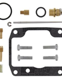 Carburetor Rebuild Kit