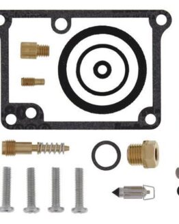 Carburetor Rebuild Kit