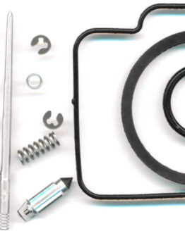 Carburetor Rebuild Kit