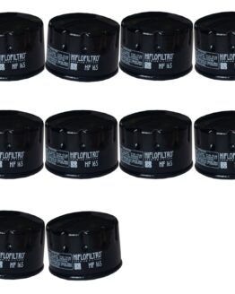 HF165 Oil Filter - Black - 10 Pack