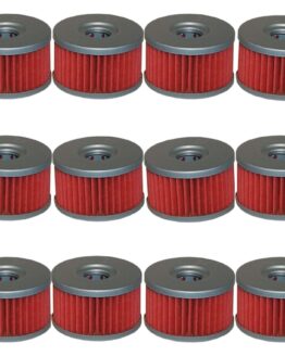 HF137 Oil Filter - 12 Pack