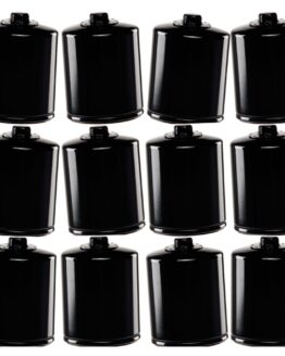 HF171BRC Race Oil Filter - Black - 12 Pack
