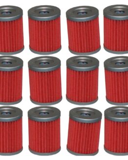 HF132 Oil Filter - 12 Pack