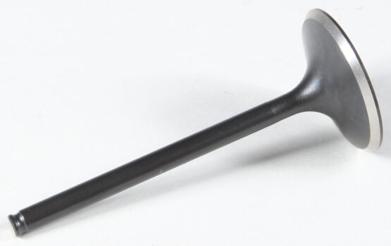 Black Diamond Intake Valve