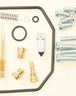 Carburetor Repair Kit