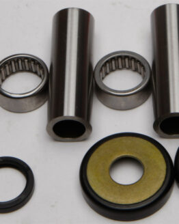 Swing Arm Bearing Kit