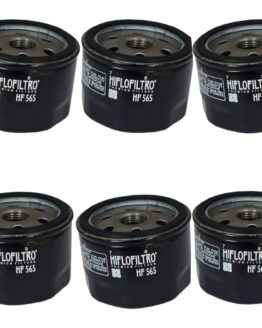 HF565 Oil Filter - Black - 6 Pack