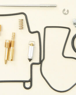 Carburetor Rebuild Kit