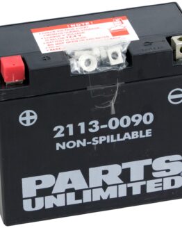 AGM Maintenance Free Battery 215CCA 12V 10Ah Factory Activated