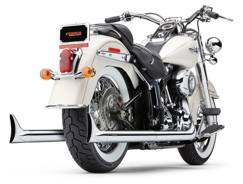 cobra_6987.jpg cobra_6987.jpg