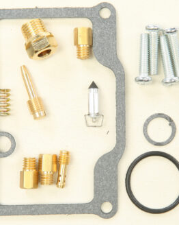 Carburetor Repair Kit