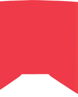 Replacement Red Mirror/Clear Lens w/ Posts For Fly Youth Zone/Focus Goggle