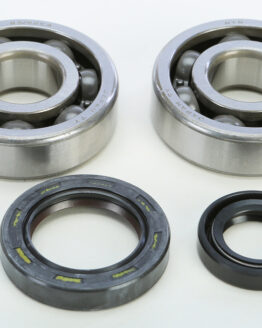 Crankshaft Bearing & Seal Kit
