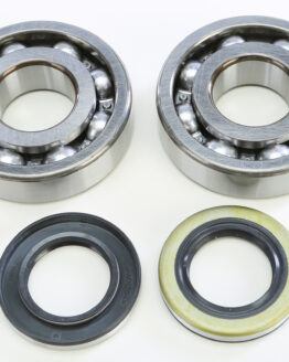 Crankshaft Bearing & Seal Kit