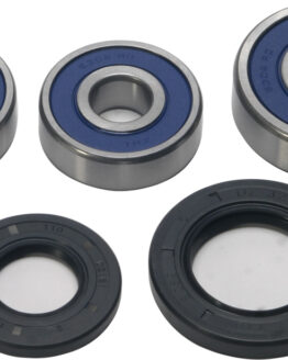 Wheel Bearing & Seal Kit