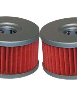 HF137 Oil Filter - 2 Pack
