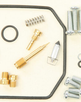 Carburetor Repair Kit