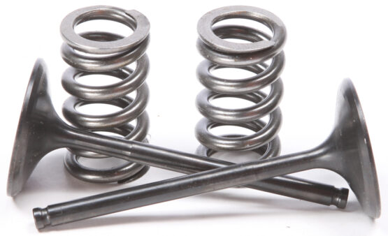 Steel Intake Valve/Spring Kit