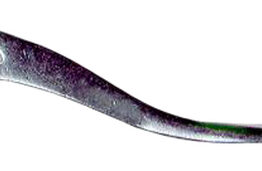 Polished Aluminum Brake Lever