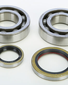 Crankshaft Bearing & Seal Kit