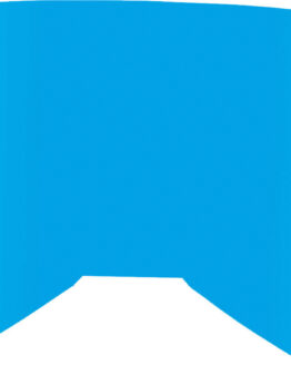 Replacement Blue Mirror/Smoke Lens w/ Posts For Youth Zone/Focus Goggle