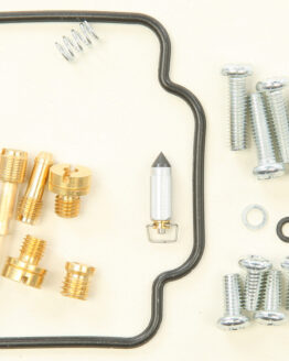 Carburetor Repair Kit