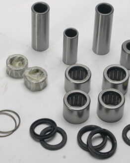 Swing Arm Linkage Bearing & Seal Kit
