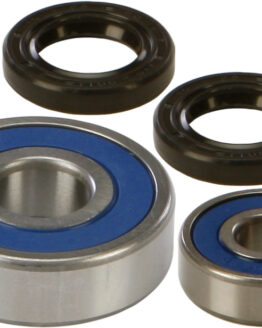 All Balls Rear Wheel Bearing & Seal Kit