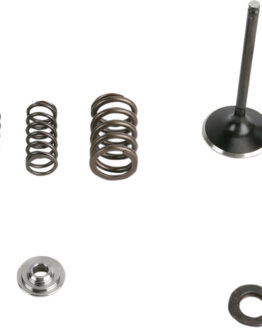 Intake Valve and Spring Stainless Steel Conversion Kit