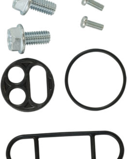 Fuel Petcock Repair Kit