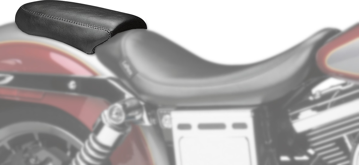 lepera_LGK-001P.jpg lepera_LGK-001P.jpg