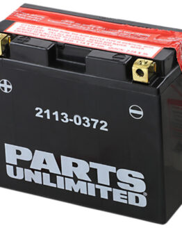 AGM Maintenance Free Battery 215CCA 12V 10Ah
