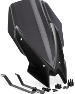 Naked New Gen Touring Windscreen - Dark Smoke