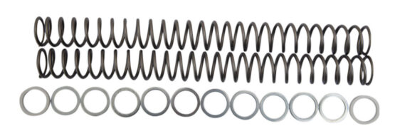 Fork Spring 0.54kg