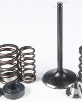 Intake Valve & Spring Kit Stainless Steel